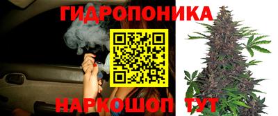 гидропоника Жуковский