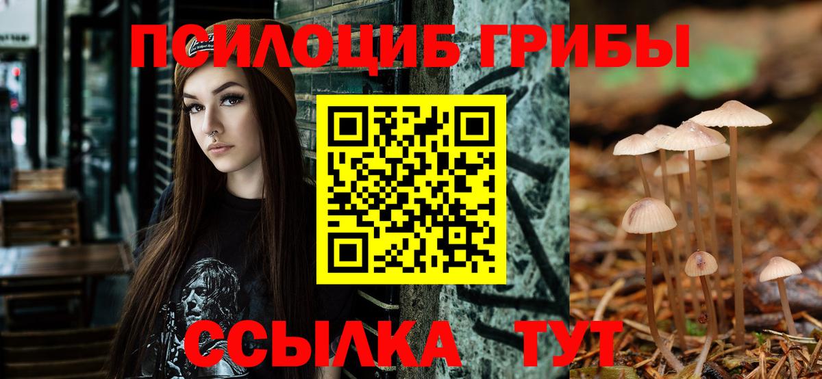 Михайловск  Псилоцибиновые грибы MAGIC MUSHROOMS  Вход с VPN 