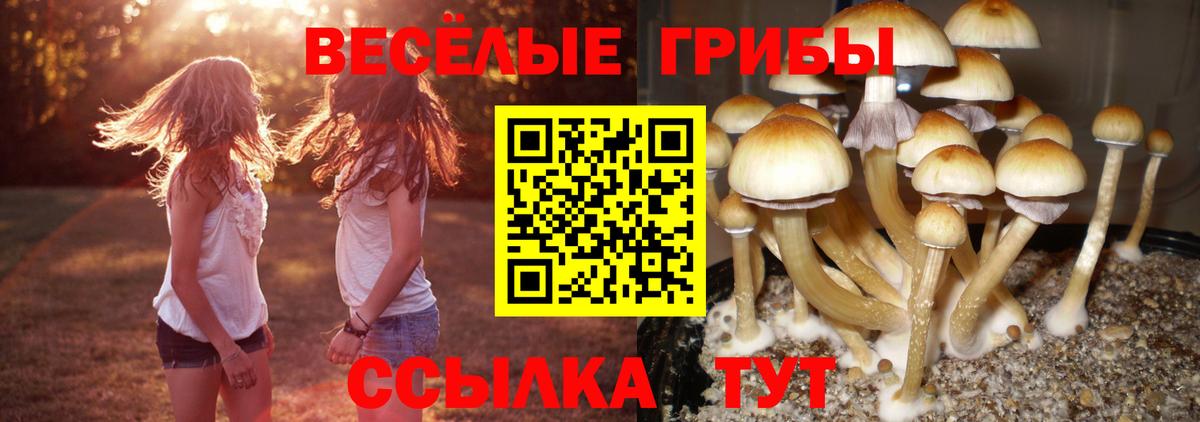 Галлюциногенные грибы мицелий Михайловск